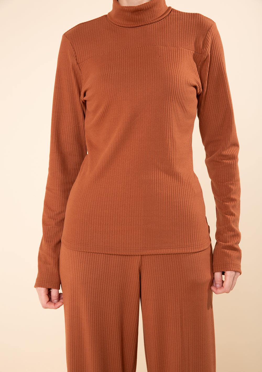 Blusa Ajustada Cuello Alto Mangas Largas
