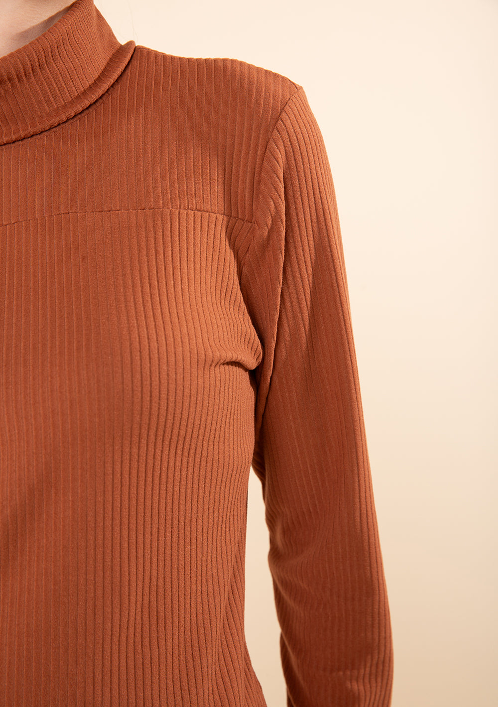 Blusa Ajustada Cuello Alto Mangas Largas