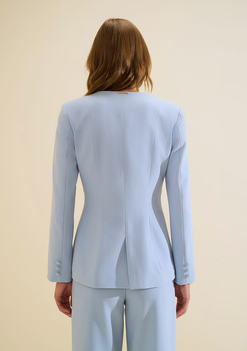 Blazer Ajustado Mangas Largas