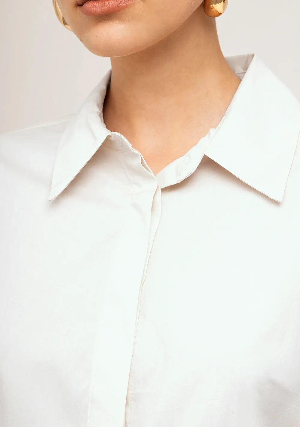 Camisa Ajustada Cuello Tradicional Mangas Largas