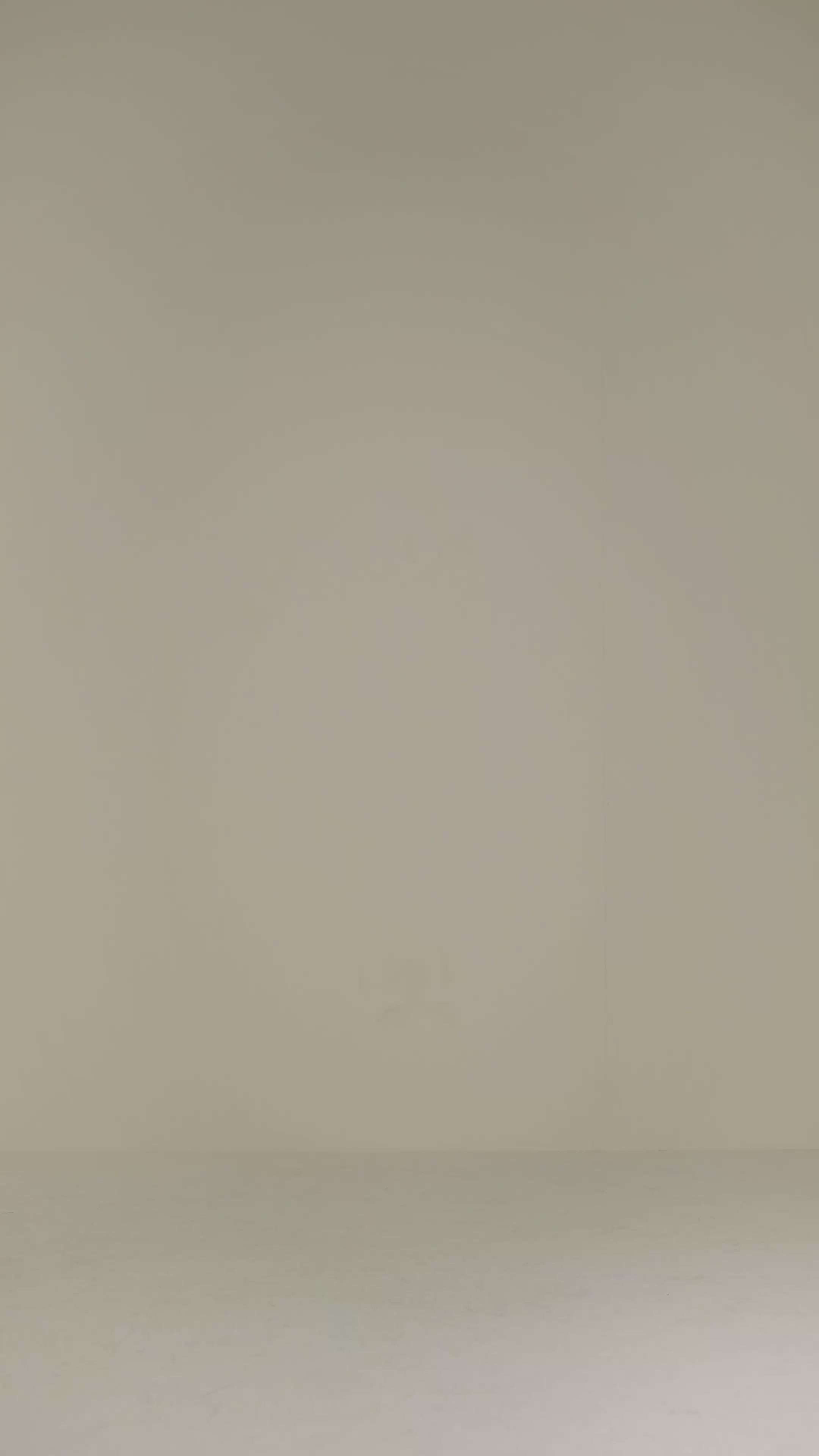 Camisa Suelta Cuello Clásico Mangas Largas